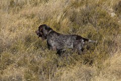 20191005_024_Chico