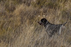 20191005_038_1