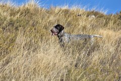 20191005_041_Jara-Pedralvez