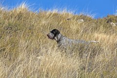 20191005_045_Jara-Pedralvez