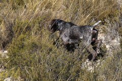 20191005_058_Zeus Jose Aguilar