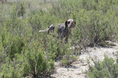 IMG_0091_AMM_20210529