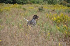 DSC_0086_PAV_20211002