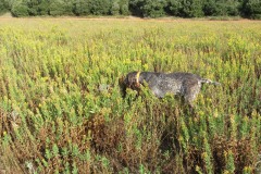 IMG_0377_AMM_20211002