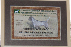 Diploma_PCS