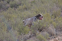 Zira_20220205_028