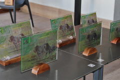 20220312_0147_Trofeos