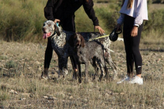 20231007-chinchilla-img-1872
