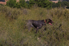 20231007-chinchilla-img-1916
