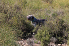 20231007-chinchilla-img-1924