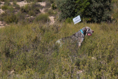 20231007-chinchilla-img-1928