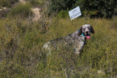 20231007-chinchilla-img-1929