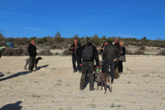 20240316_Vilafranca de Ebro (Z)