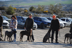 10_20240316_Vilafranca-de-Ebro_009_PAV