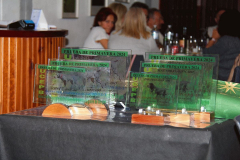 134_20240316_Vilafranca-de-Ebro_138