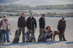 19_20240316_Vilafranca-de-Ebro_039_PAV