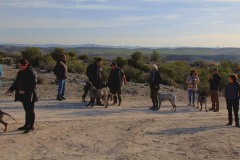 26_20240316_Vilafranca-de-Ebro_005