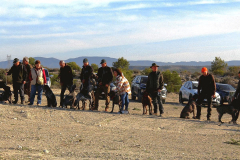 31_20240316_Vilafranca-de-Ebro_010