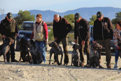 37_20240316_Vilafranca-de-Ebro_018
