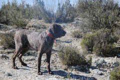 57_20240316_Vilafranca-de-Ebro_090_PAV