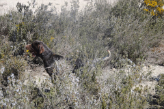62_20240316_Vilafranca-de-Ebro_111_PAV