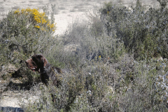 64_20240316_Vilafranca-de-Ebro_113_PAV