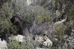 66_20240316_Vilafranca-de-Ebro_122_PAV