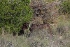 74_20240316_Vilafranca-de-Ebro_036