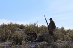 78_20240316_Vilafranca-de-Ebro_043