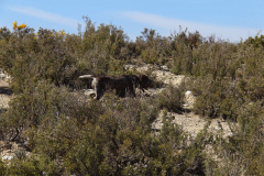 90_20240316_Vilafranca-de-Ebro_064