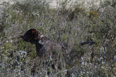 93_20240316_Vilafranca-de-Ebro_070
