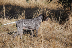 20240928_Cabanillas_PAV_DSC_0296_001