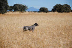 20240928_Cabanillas_PAV_DSC_0307_003