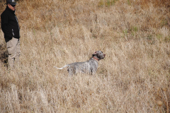20240928_Cabanillas_PAV_DSC_0346_004
