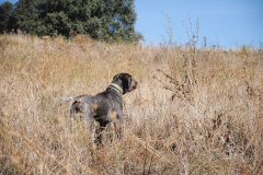 20240928_Cabanillas_PAV_DSC_0353_002