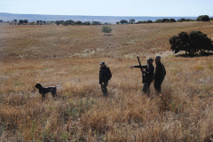 20240928_Cabanillas_PAV_DSC_0394_006