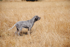 20240928_Cabanillas_PAV_DSC_0437_001