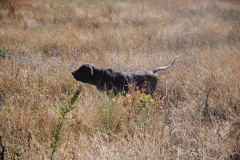 20240928_Cabanillas_PAV_DSC_0480_005