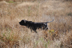 20240928_Cabanillas_PAV_DSC_0488_007