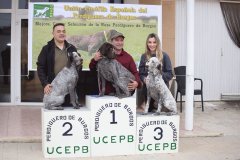 20250308_Villena_ACG_218
