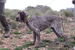 20250308_Villena_AMM_001_Ares-de-Patagorda_2