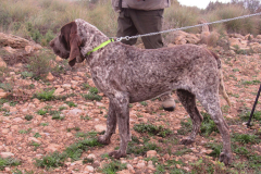 20250308_Villena_AMM_002_Ares-de-Patagorda