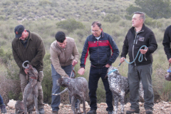 20250308_Villena_AMM_004