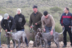 20250308_Villena_AMM_005