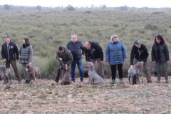 20250308_Villena_AMM_006