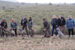 20250308_Villena_AMM_007