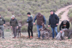 20250308_Villena_AMM_014
