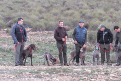 20250308_Villena_AMM_016