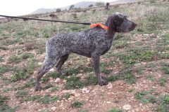 20250308_Villena_AMM_040