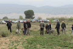 20250308_Villena_AMM_055